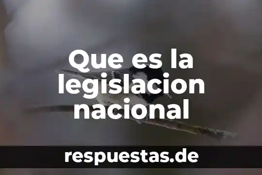 Qué es el escudo nacional de la República Dominicana 7 Que es la legislacion nacional