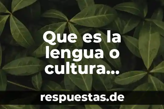 Que es cultura segun la cdi 7 Que es la lengua o cultura yokotan