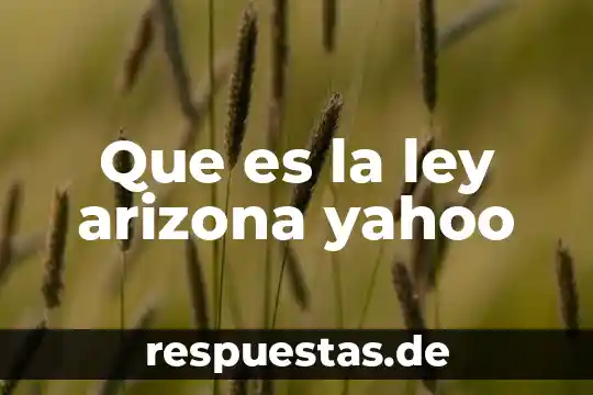 Qué es número de licencia de conducir México 3 Que es la ley arizona yahoo