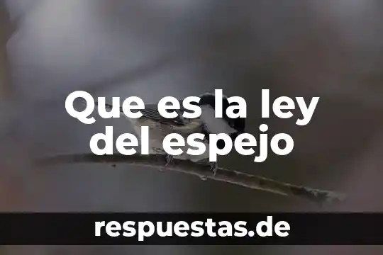 Ley de egreso del edomex que es 3 Que es la ley del espejo