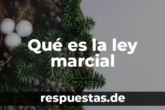 Qué es la ley marcial