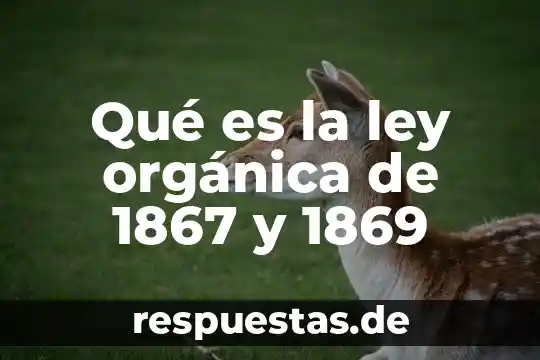 Por que dicen que es fruta organica 5 Qué es la ley orgánica de 1867 y 1869