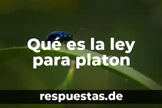Qué es la ley para platon