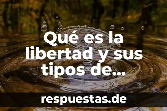 Qué es la libertad y sus tipos de libertad
