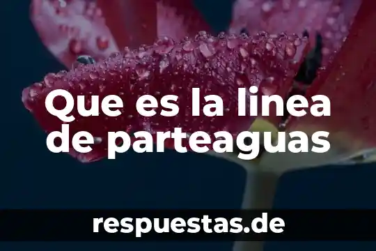 Que es el juicio en linea sat 4 Que es la linea de parteaguas