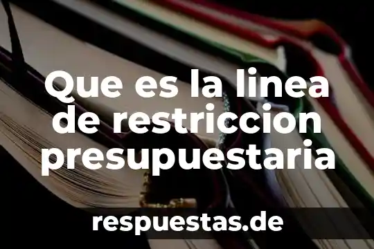 Que es la linea de restriccion presupuestaria