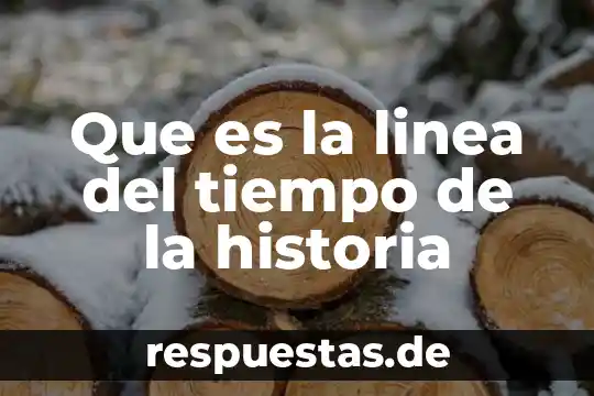 Que es un espacio en linea y sus caracteristicas 6 Que es la linea del tiempo de la historia