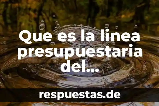 Qué es el análisis del consumidor en línea 4 Que es la linea presupuestaria del consumidor