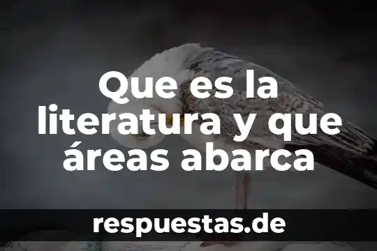 Qué es importante la planeación 6 Que es la literatura y que áreas abarca