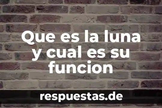 Que es la rumia y cual es su funcion 3 Que es la luna y cual es su funcion