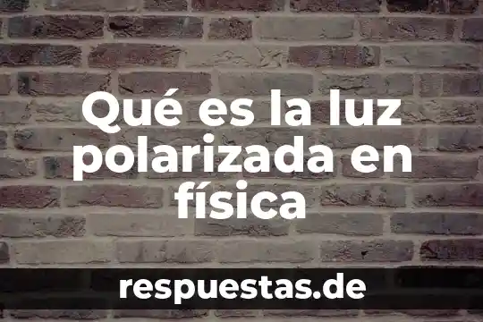 Que es la velocidad de la luz concepto 5 Qué es la luz polarizada en física
