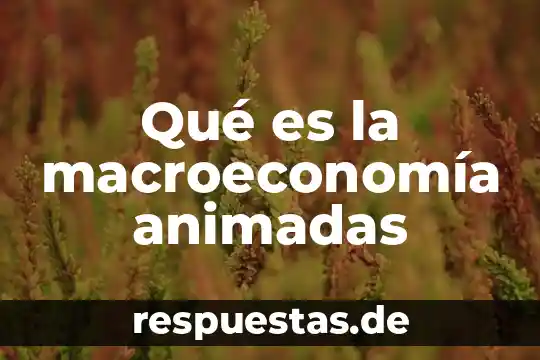 Qué es la macroeconomía animadas