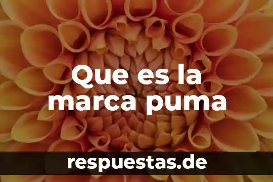 Que es la marca puma