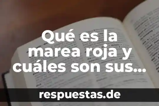 Que es significa coneval y cuales son sus objetibos 5 Qué es la marea roja y cuáles son sus consecuencias