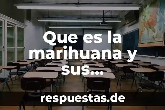 Qué es la filosofía education 3 Que es la marihuana y sus caracteristicas