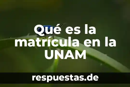 Que es el arte colectivo definicion 3 Qué es la matrícula en la UNAM