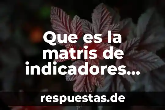 Que es la matris de indicadores para resultados