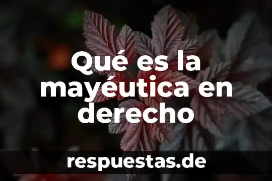 Que es el derecho de objecion de conciencia 7 Qué es la mayéutica en derecho