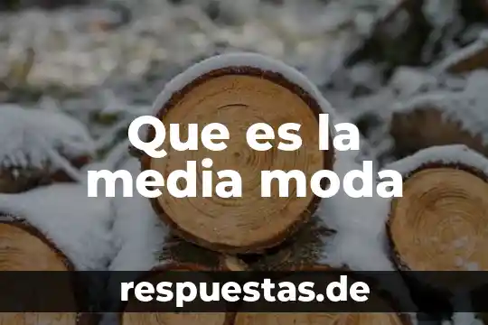 Que es la media en historia libros 8 Que es la media moda