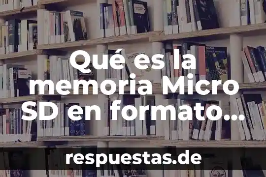 Que es ser sd o sm 7 Qué es la memoria Micro SD en formato FAT32