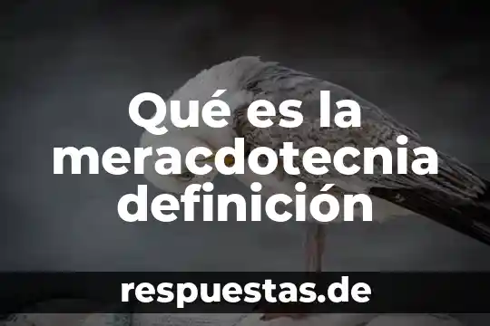 Que es una definición operacionales 8 Qué es la meracdotecnia definición