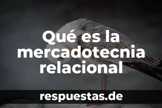¿Qué es un procesador? 4 Qué es la mercadotecnia relacional