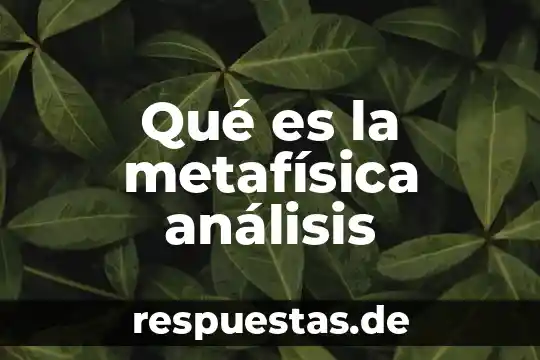 Qué es la metafísica análisis