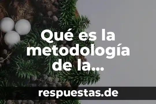 Que es un problema y la metodologia de solucion 7 Qué es la metodología de la aplicación definición