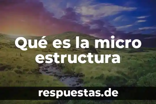 Qué es la micro estructura