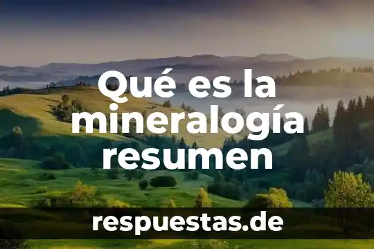 ¿Qué es la socioafectivo concepto? 3 Qué es la mineralogía resumen