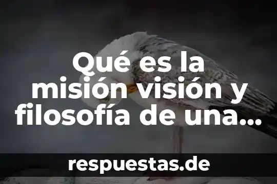 Qué es la filosofía significado 3 Qué es la misión visión y filosofía de una empresa