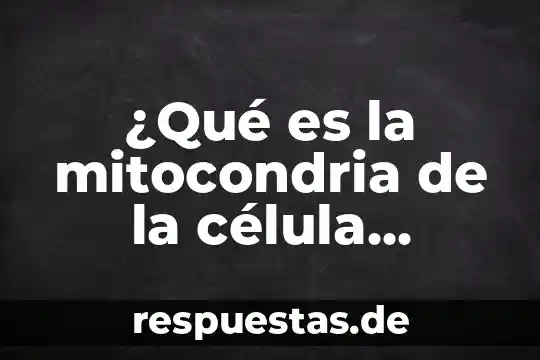 Qué es el citoplasma de la célula animal y vegetal 4 ¿Qué es la mitocondria de la célula animal?