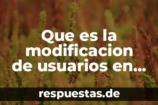 Que significa o que es un http en informatica 3 Que es la modificacion de usuarios en informatica