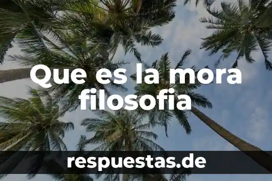 Que es la mora filosofia