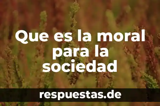 Que es un integrante de persona moral 8 Que es la moral para la sociedad