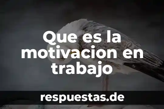 Admisionista ambulatorio que es 3 Que es la motivacion en trabajo