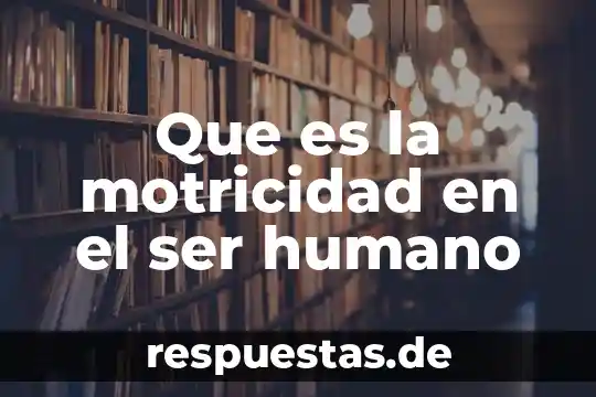 Que es ser peido 8 Que es la motricidad en el ser humano
