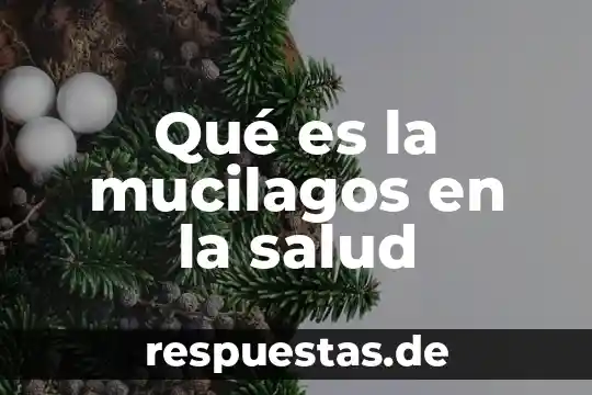 Que es la rehabilitacion en salud 5 Qué es la mucilagos en la salud