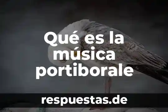 Qué es música y arte 3 Qué es la música portiborale