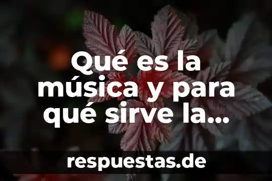 Qué es rip en música 6 Qué es la música y para qué sirve la música