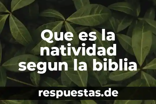 Que es la grosura biblia 8 Que es la natividad segun la biblia