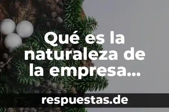 Qué es la naturaleza de la empresa definición
