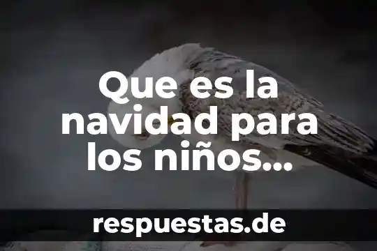 Que es navidad concepto 6 Que es la navidad para los niños pobres