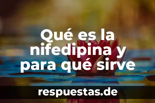Qué es un comité de bioética y para qué sirve 3 Qué es la nifedipina y para qué sirve