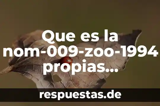 Qué es teoría con tus propias palabras 4 Que es la nom-009-zoo-1994 propias palabras