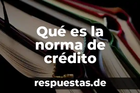 Qué es un gerente de crédito 8 Qué es la norma de crédito