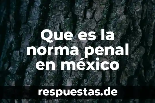 Qué es derecho procesal penal en México 6 Que es la norma penal en méxico