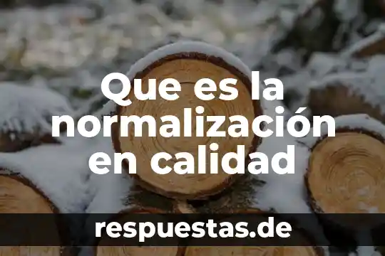 Que es la normalización en calidad