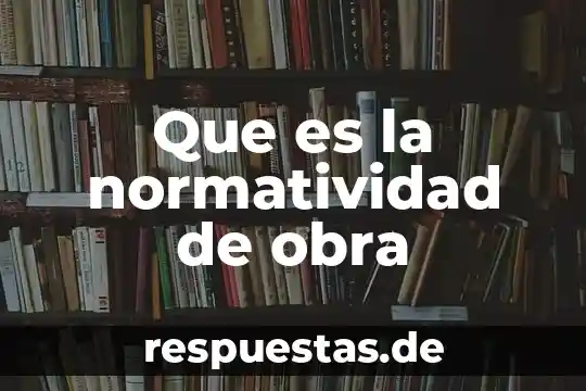 Que es la normatividad de obra