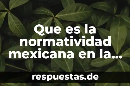 Qué es el software concepto 6 Que es la normatividad mexicana en la profepa
